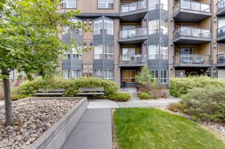 Photo 22: 309 2420 34 Avenue SW in Calgary: South Calgary Apartment for sale : MLS®# A2052110