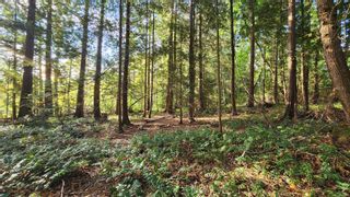 Photo 8: Lot 4 & 5 Inverness Rd in North Saanich: NS Ardmore Land for sale : MLS®# 945901