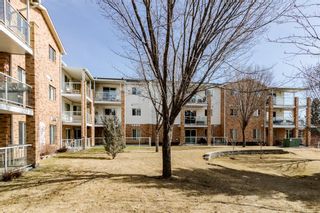 Photo 4: 427 165 Manora Place NE in Calgary: Marlborough Park Apartment for sale : MLS®# A1196284