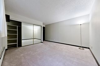 Photo 23: 204 929 18 Avenue SW in Calgary: Lower Mount Royal Apartment for sale : MLS®# A1231515