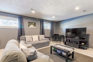 Photo 22: 171 Bedford Drive NE in Calgary: Beddington Heights Detached for sale : MLS®# A1185599