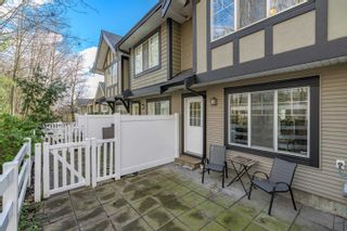 Photo 31: 86 20176 68 Avenue in Langley: Willoughby Heights Townhouse for sale in "STEEPLECHASE" : MLS®# R2754120