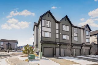 Photo 33: 18 Evanscrest Park NW in Calgary: Evanston Row/Townhouse for sale : MLS®# A2119227
