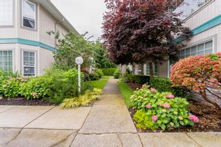 Photo 34: 129 9855 QUARRY Road in Chilliwack: Chilliwack Proper East Townhouse for sale in "Little Mountain Meadows" : MLS®# R2760445