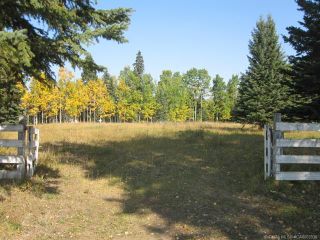 Photo 29: 25 FERRIER Road: Rural Clearwater County Detached for sale : MLS®# A2078297