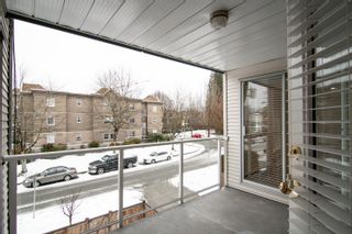 Photo 19: 209 2339 SHAUGHNESSY Street in Port Coquitlam: Central Pt Coquitlam Condo for sale : MLS®# R2641603