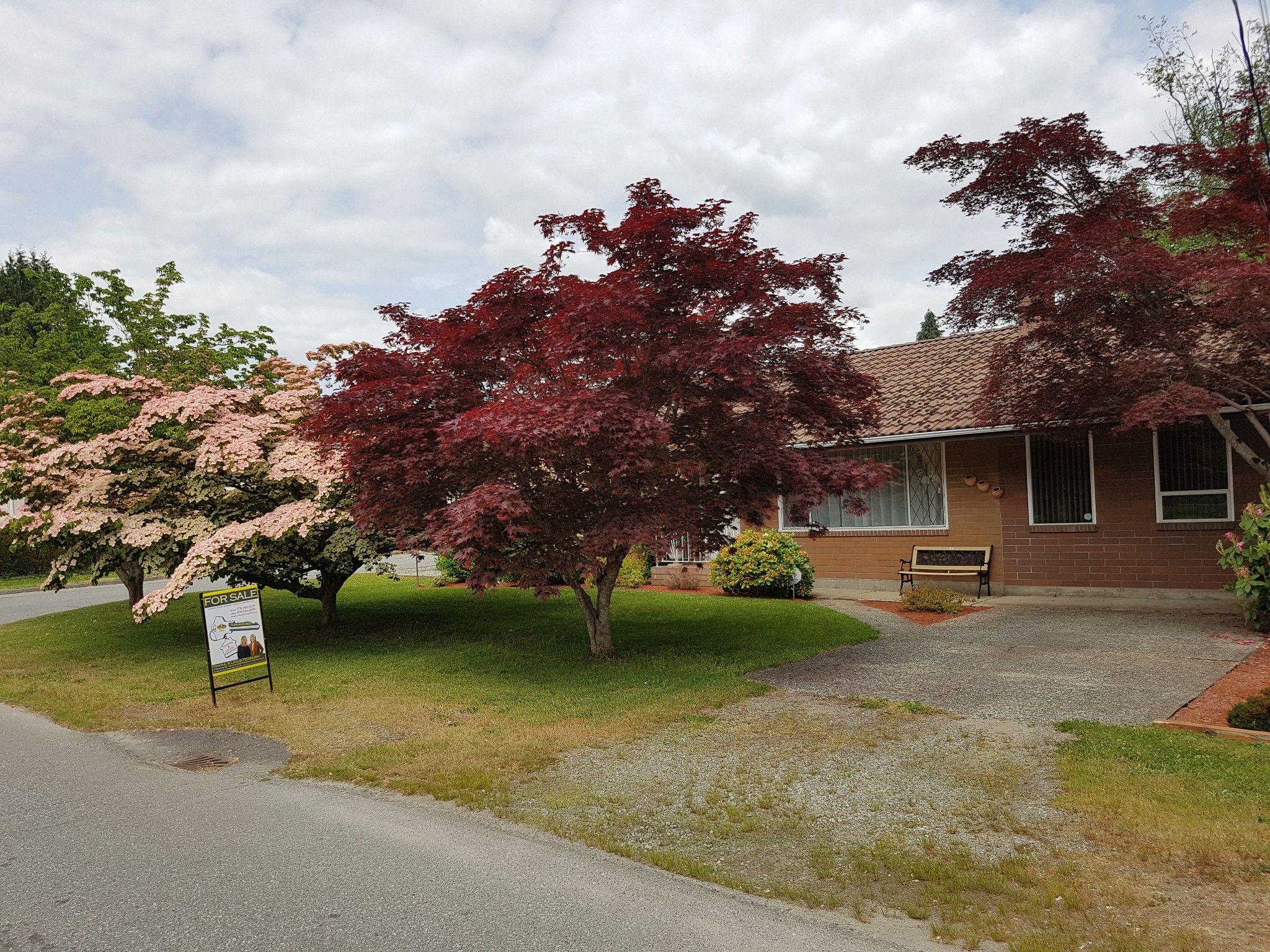 Main Photo: 32155 BUECKERT Avenue in Mission: Mission BC House for sale : MLS®# R2274162