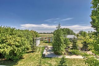 Photo 37: 226008 80 Street E: Rural Foothills County Detached for sale : MLS®# A2054017