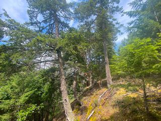 Photo 6: LOT 11 DISTRICT LOT 71 AND 77: Galiano Island Land for sale (Islands-Van. & Gulf)  : MLS®# R2706173