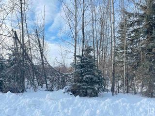 Photo 26: TWP RD 613A RGE RD 234: Rural Westlock County Rural Land/Vacant Lot for sale : MLS®# E4276161