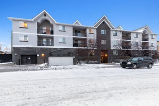 Main Photo: 103 2440 34 Avenue SW in Calgary: South Calgary Apartment for sale : MLS®# A1167805