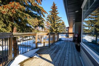 Photo 41: 1613 Athabasca Street: Crossfield Detached for sale : MLS®# A2035548