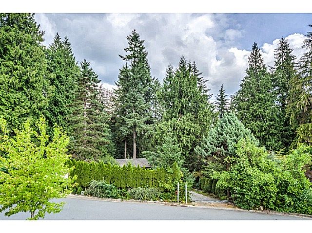 Main Photo: 24070 132ND Avenue in Maple Ridge: Silver Valley House for sale : MLS®# V1135979