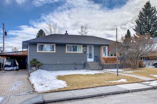 Photo 50: 419 Tavender Road NW in Calgary: Thorncliffe Detached for sale : MLS®# A1193572