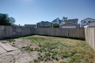 Photo 39: 187 Carmel Close NE in Calgary: Monterey Park Detached for sale : MLS®# A1138813