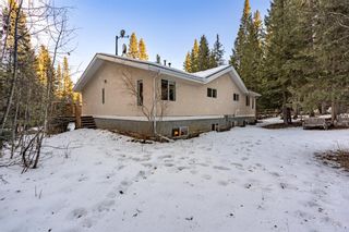 Photo 8: 140 5417 Hwy 579: Rural Mountain View County Detached for sale : MLS®# A1180754