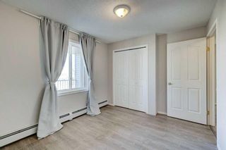 Photo 16: 5309 604 8 Street SW: Airdrie Apartment for sale : MLS®# A2125479