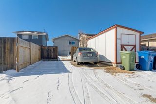 Photo 25: 4826 60 Street NE in Calgary: Temple Detached for sale : MLS®# A1191795