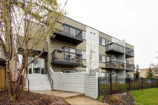 Photo 1: 203 2411 29 Street SW in Calgary: Killarney/Glengarry Apartment for sale : MLS®# A2128044