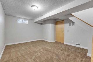 Photo 39: 120 Martinbrook Road NE in Calgary: Martindale Detached for sale : MLS®# A2130953