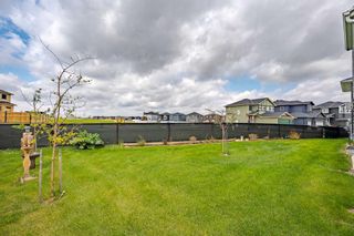 Photo 45: 1411 Price Close: Carstairs Detached for sale : MLS®# A2136196