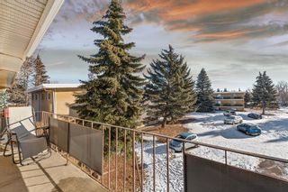 Photo 2: 302 3103 Blakiston Drive NW in Calgary: Brentwood Apartment for sale : MLS®# A2019913