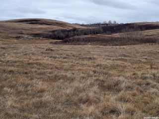 Photo 16: Unity 318 acres Grain and Pastureland in Round Valley: Farm for sale (Round Valley Rm No. 410)  : MLS®# SK951365