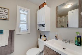 Photo 23: 341 Big Springs Drive SE: Airdrie Detached for sale : MLS®# A2050217