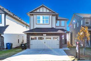 Photo 1: 20 Skyview Shores Link NE in Calgary: Skyview Ranch Detached for sale : MLS®# A1258924