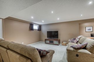 Photo 27: 176 Creek Gardens Close NW: Airdrie Detached for sale : MLS®# A1048124