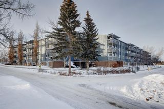 Photo 1: 117 816 89 Avenue SW in Calgary: Haysboro Apartment for sale : MLS®# A2022209