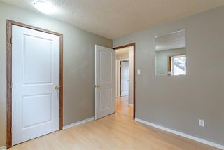 Photo 24: 3902 26 Avenue SE in Calgary: Forest Lawn Semi Detached for sale : MLS®# A1220954