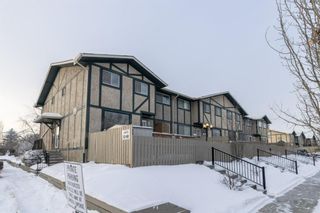 Photo 31: 56S 203 Lynnview Road SE in Calgary: Ogden Row/Townhouse for sale : MLS®# A1164513