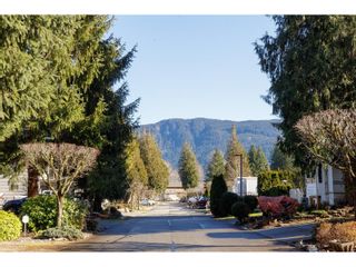 Photo 40: 54 14600 MORRIS VALLEY ROAD in Mission: House for sale : MLS®# R2849153