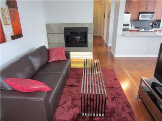 Photo 3: 402 2055 YUKON Street in Vancouver: False Creek Condo for sale in "MONTREUX" (Vancouver West)  : MLS®# V1051503