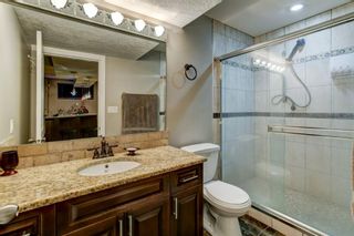 Photo 21: 7618 Martha's Haven Park NE in Calgary: Martindale Detached for sale : MLS®# A1255902