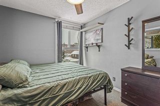 Photo 5: 6 124 Beaver Street: Banff Apartment for sale : MLS®# A2123759