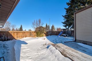 Photo 4: 236 Spring Haven Court SE: Airdrie Detached for sale : MLS®# A2010844