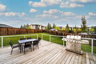 Photo 6: 267 Springborough Way SW in Calgary: Springbank Hill Detached for sale : MLS®# A1222318