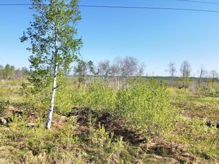 Photo 3: 47 Bremaud Drive in La Broquerie: Vacant Land for sale : MLS®# 202313849