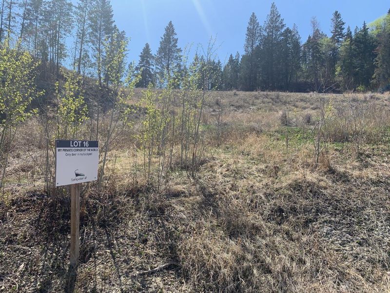 FEATURED LISTING: Lot 16 - 6200 COLUMBIA LAKE ROAD Fairmont Hot Springs
