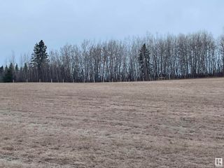 Photo 7: Twp 492 RR 52: Rural Brazeau County Rural Land/Vacant Lot for sale : MLS®# E4289275