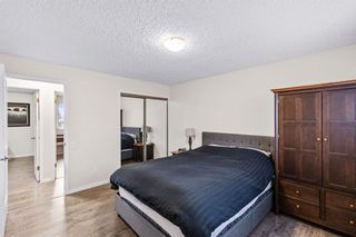 Photo 14: 99 Beaconsfield Rise NW in Calgary: Beddington Heights Detached for sale : MLS®# A1180894