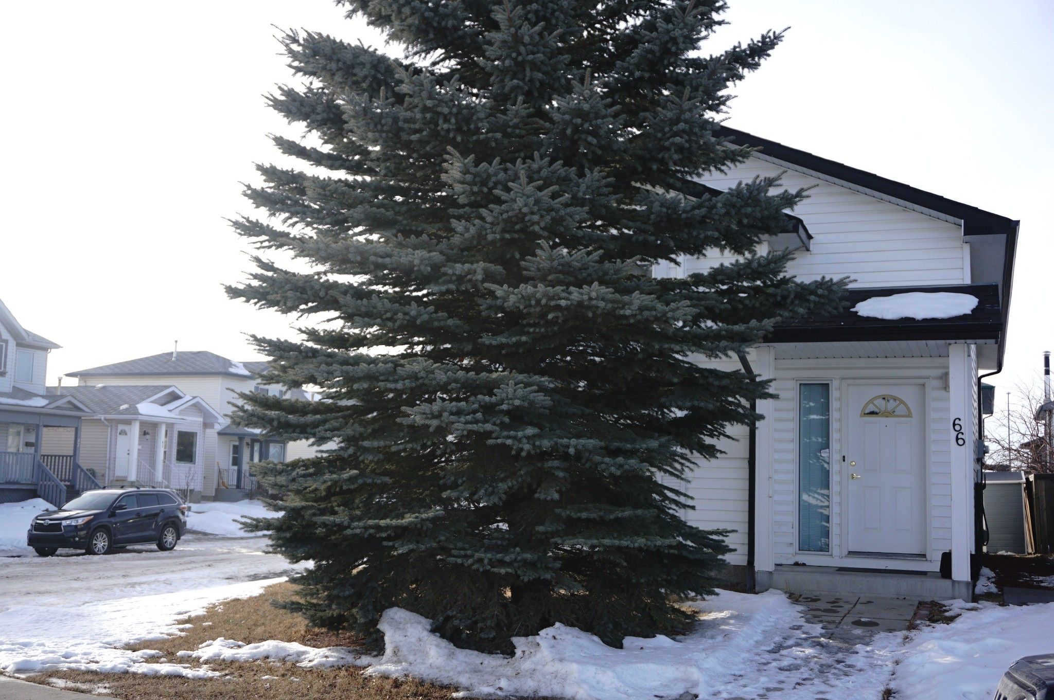 Main Photo: 66 Appleburn Close E in Calgary: Applewood Park House for sale