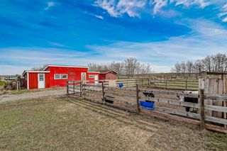 Photo 6: 100 72132 594 Avenue E: Rural Foothills County Detached for sale : MLS®# A2126010