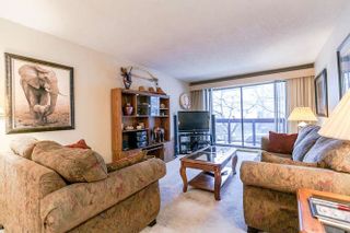 Photo 11: 202 45 FOURTH Street in New Westminster: Downtown NW Condo for sale : MLS®# R2243025