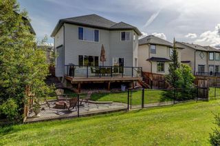 Photo 42: 143 Royal Birch Way NW in Calgary: Royal Oak Detached for sale : MLS®# A2142801