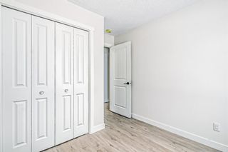 Photo 19: 12 Templevale Gate NE in Calgary: Temple Detached for sale : MLS®# A2023278
