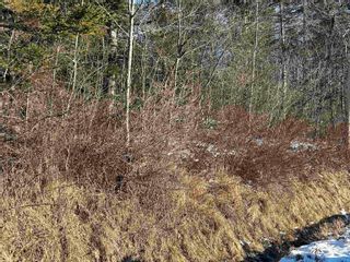 Photo 12: Lot K1 Greenfield Road in Greenfield: Kings County Vacant Land for sale (Annapolis Valley)  : MLS®# 202400528