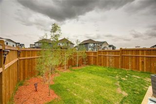 Photo 44: 393 MASTERS Avenue SE in Calgary: Mahogany Detached for sale : MLS®# C4302572